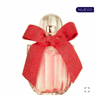 Women Secret Rouge Seduction Edp 100Ml Tester